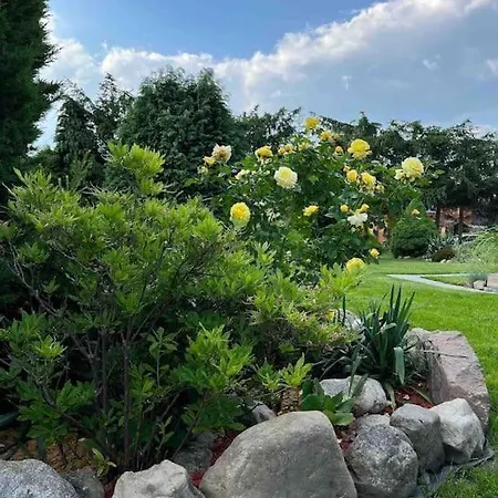 W Karkonoszach 別荘 *